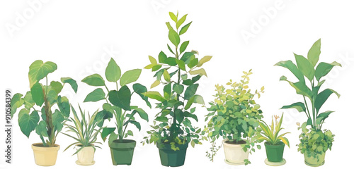 Wallpaper Mural Various Indoor Plants in Different Sizes and Pot Styles on Transparent and White Background. Home Decoration and Nature Concepts.   Torontodigital.ca
