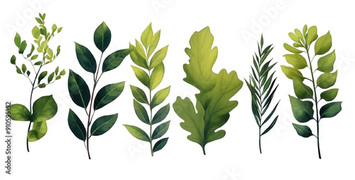 Collection of Various Types of Green Leaves on Transparent Background. Nature and Botanical Concepts.

