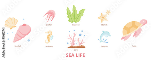 Sea Life Flat Banner Web Icon Set Vector Illustration, Seashell Dolphin Coral Seaweed Starfish Jellyfish