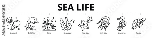 Sea Life Line Banner Web Icon Set Vector Illustration, Seashell Dolphin Coral Seaweed Starfish Jellyfish