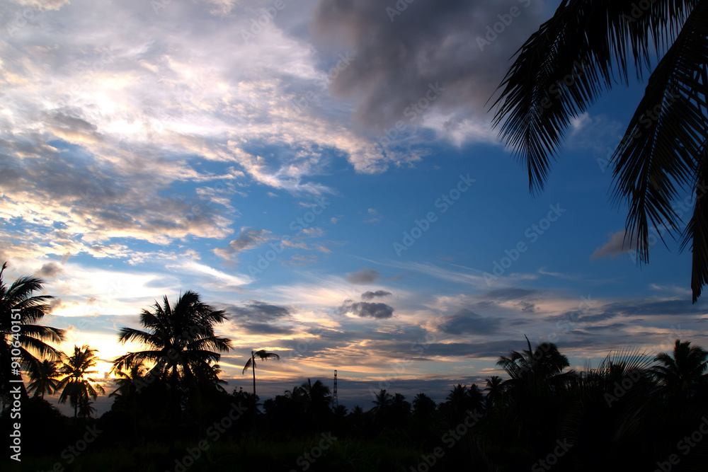 Obraz premium Tropical Twilight Silhouetted palm trees