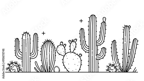 hand drawn cactus vector collection illustration