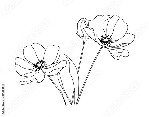 hand drawn aesthetic flower blossom line art vector collection