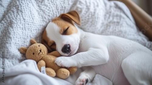 Beloved puppy with toy sleeping peacefully in cozy modern apartment Small whitebrown dog lying while embracing toy in bed : Generative AI photo