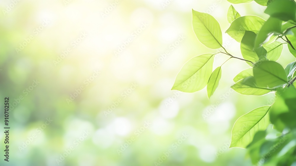 Beautiful nature view of green leaf on blurred greenery background in garden and sunlight with copy space using as background natural green plants landscape ecology fresh wallpaper con : Generative AI Beautiful nature view of green leaf on blurred greenery background in garden and sunlight with copy space using as background natural green plants landscape ecology fresh wallpaper con : Generative AI