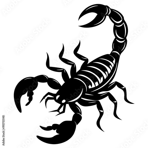 Scorpion isolated on a white background