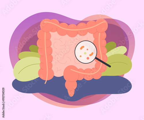 Magnifying glass showing bacteria in bowel. Examining or checking intestines or colon, digestive system flat vector illustration. Health, medicine concept for banner or landing page