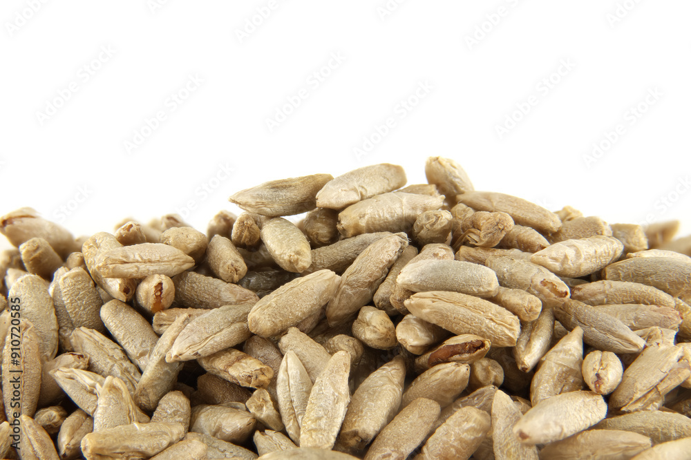 Pile of rye grains isolated on a white background Pile of rye grains isolated on a white background