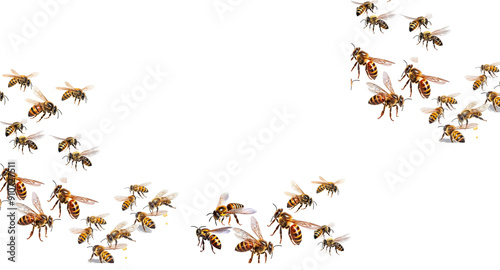 Honey and bee insect macro shot. A bee collecting pollen. Honey bee walking isolated on transparent background cutout.Honey and bee insect macro shot. A bee collecting pollen generative Ai.