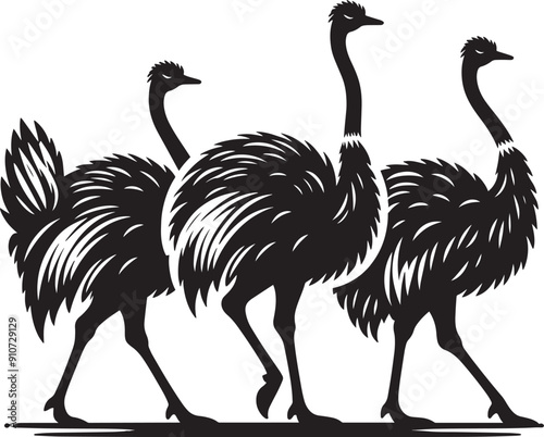 Ostriches bird Silhouette isolated on white background ostrich vector shape icon photo