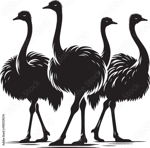 Ostriches bird Silhouette isolated on white background ostrich vector shape icon