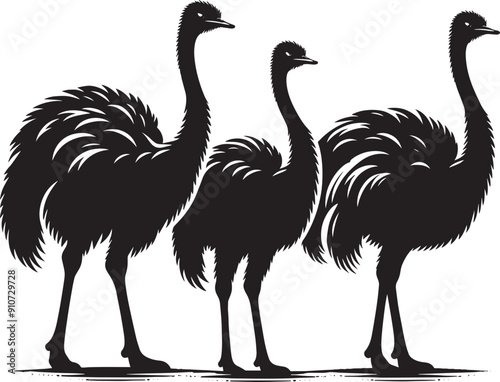 Ostriches bird Silhouette isolated on white background ostrich vector shape icon photo