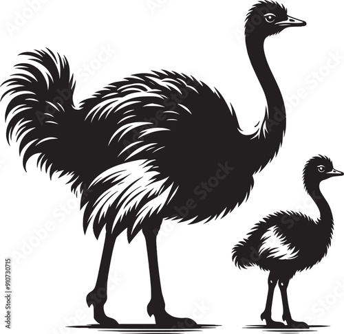 Ostriches bird Silhouette isolated on white background ostrich vector shape icon