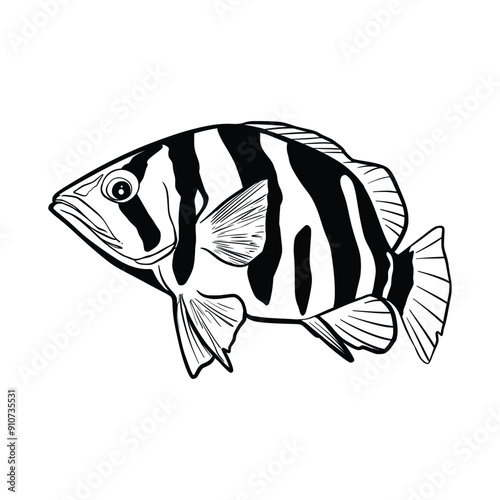 Black tattoo koi fish on white background