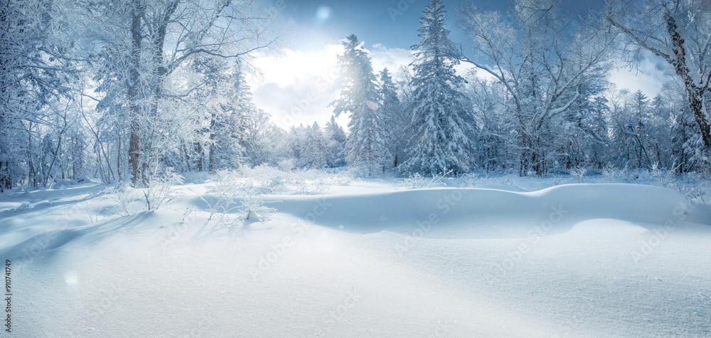 Winter panorama of forest with snow covered trees.