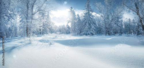 Obraz na płótnie Winter panorama of forest with snow covered trees. w salonie