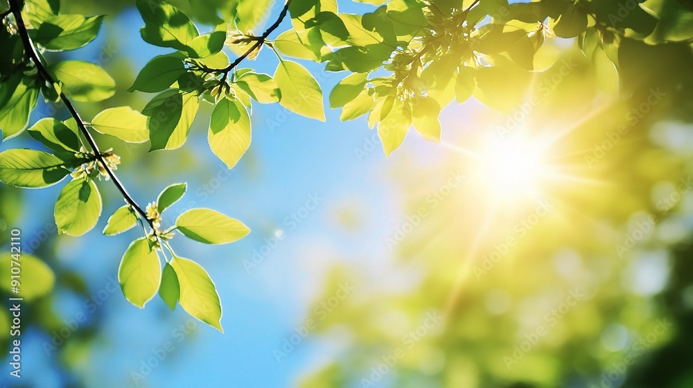 Sun-Kissed Canopy: Fresh green leaves bask in the warm glow of a bright sun, radiating the vibrant energy of spring. 