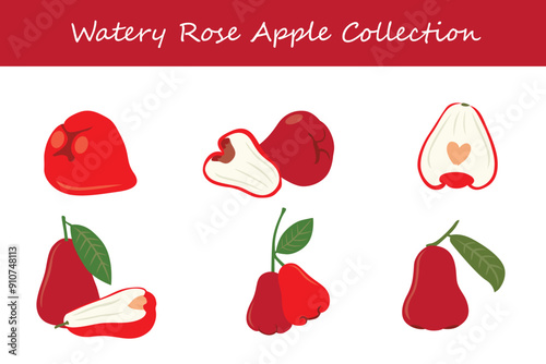 watery rose apple collection. watery rose apple in different poses. Vector illustration.