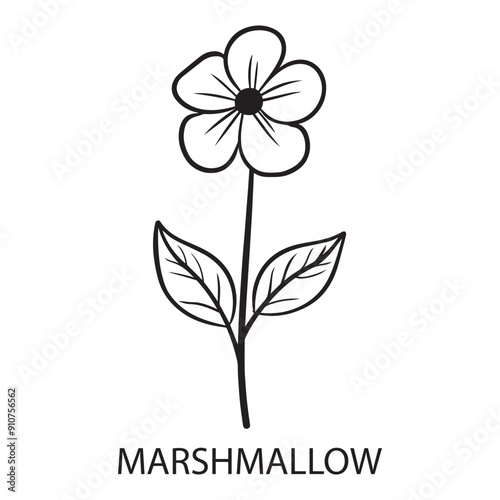 Marshmallow flower Outline Design, Floral Clipart, Wildflower illustration in black and white