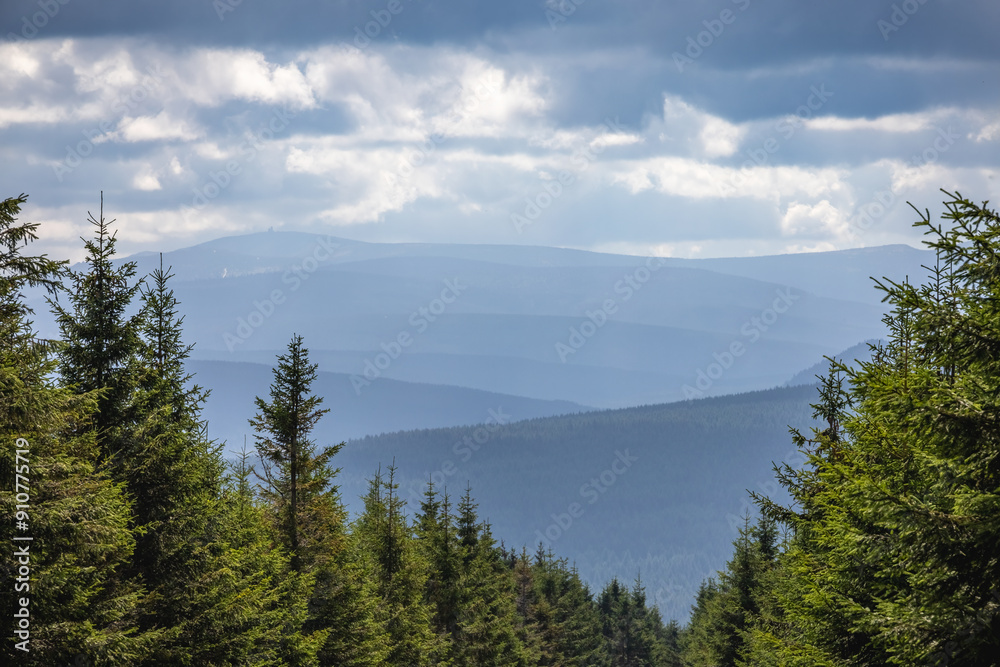 View from mountainside with spruce forest to series of mountain ridges View from mountainside with spruce forest to series of mountain ridges