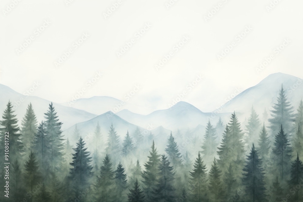 Forest mist land fog. Forest mist land fog.