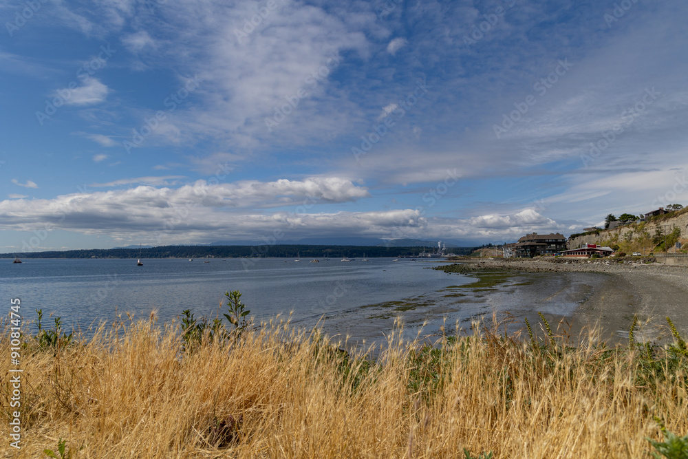 A scenic coastal view of Port Townsend with grassy foreground A scenic coastal view of Port Townsend with grassy foreground