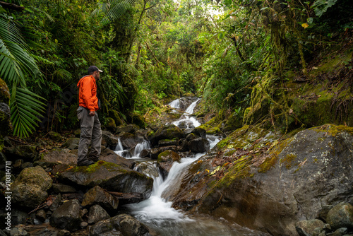 Birdwatching in the cloud forest looking for birds, Chiriqui,  Panama