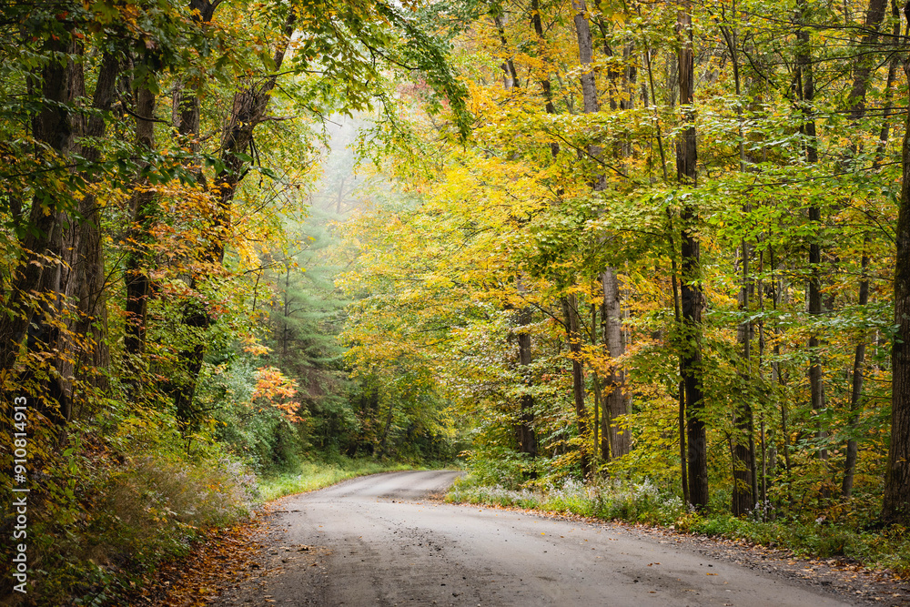 Obraz premium Autumn trees frame a dirt road in the countryside