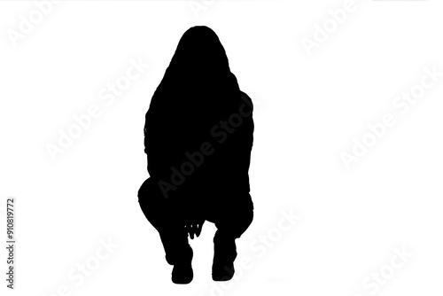 front view of a girl's silhouette squatting
