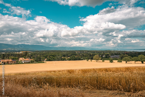 vue sur la campagne de Tournay, Chambésy 