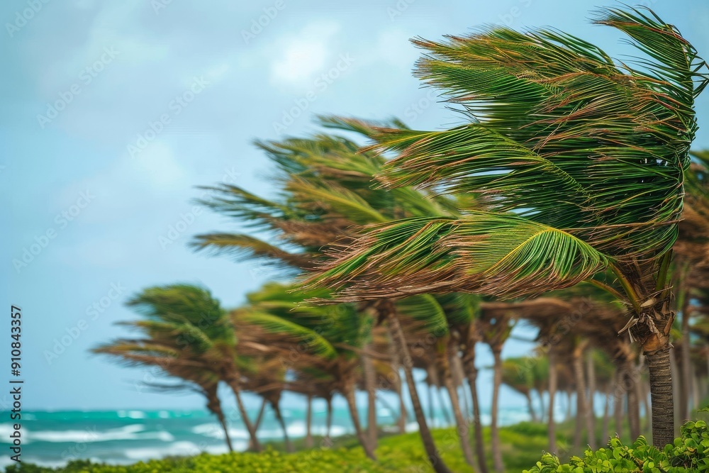 A group of palm trees dancing in synchrony as they are blown by the wind, Strong winds bending palm trees, AI Generated A group of palm trees dancing in synchrony as they are blown by the wind, Strong winds bending palm trees, AI Generated