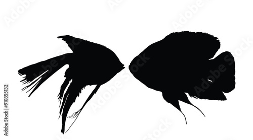 Angel fish kiss Oscar fish vector silhouette illustration isolated on white. Aquarium animal fish mating, exotic under water world. Coral reef Pisces. Shape couple fish in love kissing shadow.