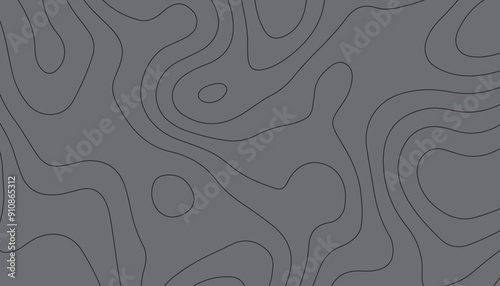 abstract pattern with lines. background of the topographic map. elevation contouring outline cartography texture. geographic abstract grid. futuristic wireframe lands. black and white seamless pattern