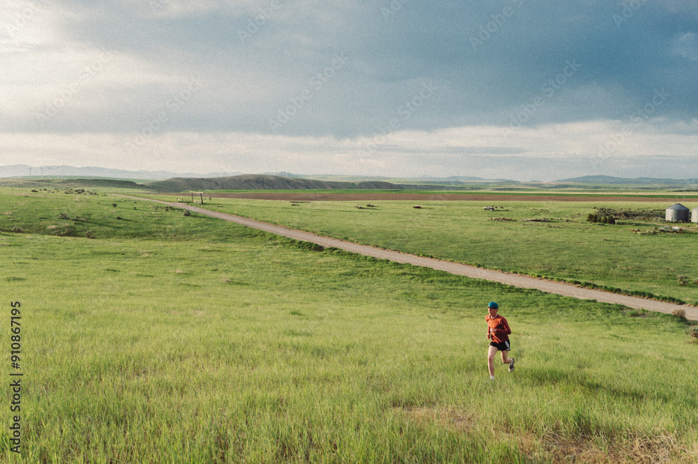 Running Through a Lush Green Meadow Running Through a Lush Green Meadow