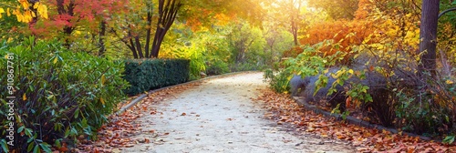 A bright path meanders through a colorful forest adorned with vivid autumn foliage and serene natural beauty inviting a peaceful walk. photo