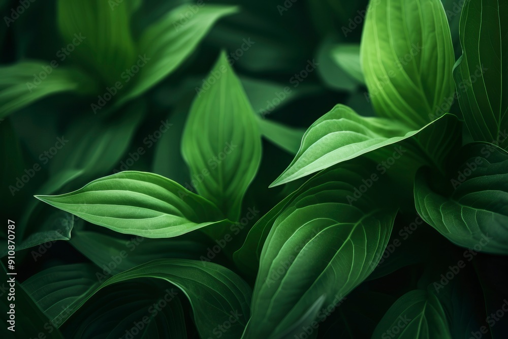 Modern close up of leaves on blurred green background. Premium background for banners or posters with generative ai Modern close up of leaves on blurred green background. Premium background for banners or posters with generative ai