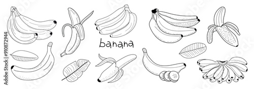 Banana sketch vector stock vector illustration. One berry banana, peelless banana, banana branch, bunch of banana. 
Hand drawn image. Black outline on white background.