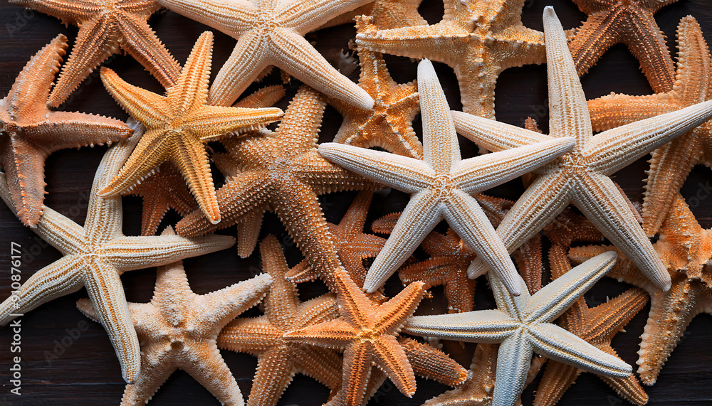 Freshly caught starfish lie next to each other in a symmetrical pattern as a background. Freshly caught starfish lie next to each other in a symmetrical pattern as a background.