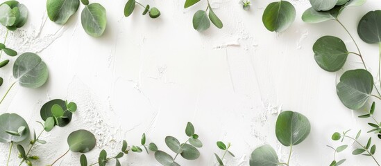 Top view of white surface with eucalyptus leaves ideal for copy space image
