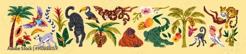 Tropical animals and plants set. Different exotic flora and fauna of jungle: jaguars, monkeys, crocodiles, snakes, palm trees. Stickers of African rainforest nature. Flat isolated vector illustrations