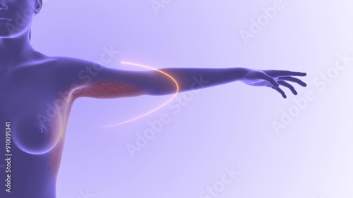 Female flabby arms to slim