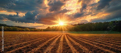 Fototapeta Naklejka Na Ścianę i Meble -  Idyllic summer rural scene featuring dramatic glowing clouds in the epic sunset sky above a golden plowed agricultural field and forest with pure evening sunlight creating a picturesque copy space im