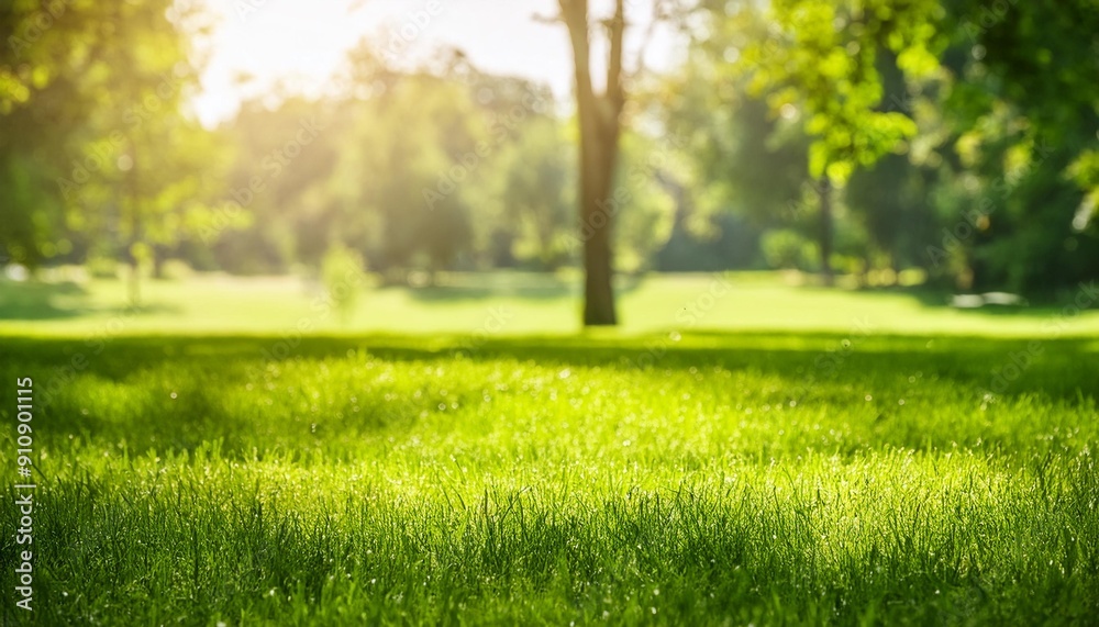 Nature's Carpet: Fresh Grass in the Summer Sun Nature's Carpet: Fresh Grass in the Summer Sun