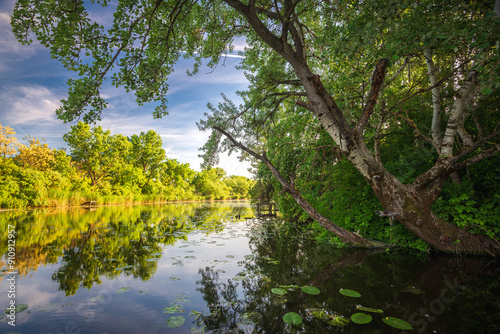 Vászonkép Raba backwater in spring, Gyirmot, Gyor, Hungary