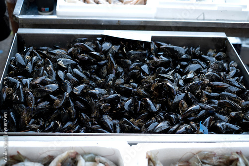fresh mussels for sale at the morning fish market. fresh seafood
