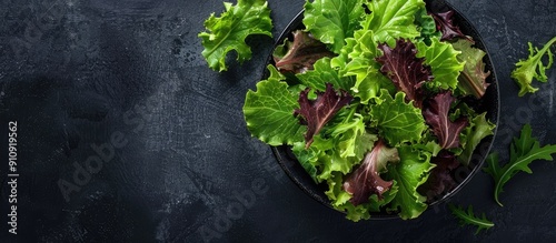 Top view of a fresh oak leaf salad on a dark background with copy space image available photo