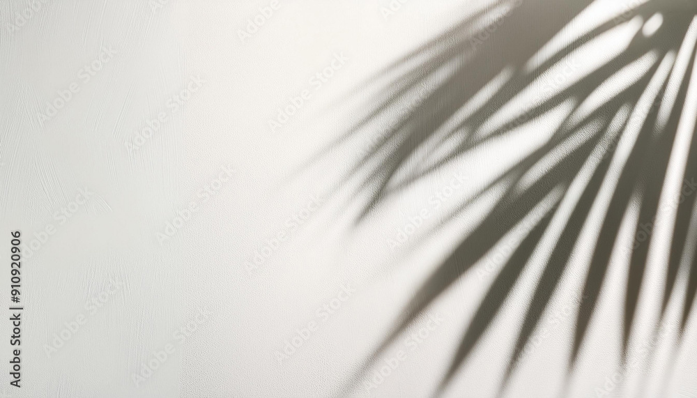 Obraz premium Abstract shadow of palm leaves on the white wall from early morning sunlight. Shadow of leaf on the wall. Transparent soft light and shadows from branches, plant, foliage. Product presentation, mockup