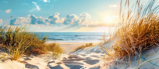 Keuken achterwand Strand zonsondergang Lentezon over zandduinen Oostzeekust  © HN Works