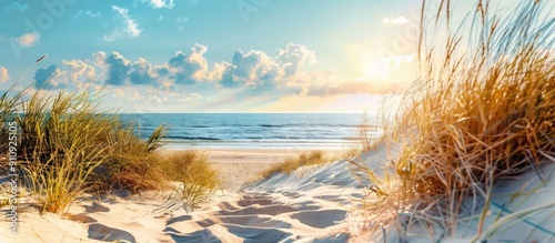 Fototapeta Naklejka Na Ścianę i Meble -  Sunny spring day with a panoramic view of the Baltic sea shore showing beach sand dunes and soft sunlight creating an idyllic seascape ideal for nature lovers and eco tourism enthusiasts Perfect for