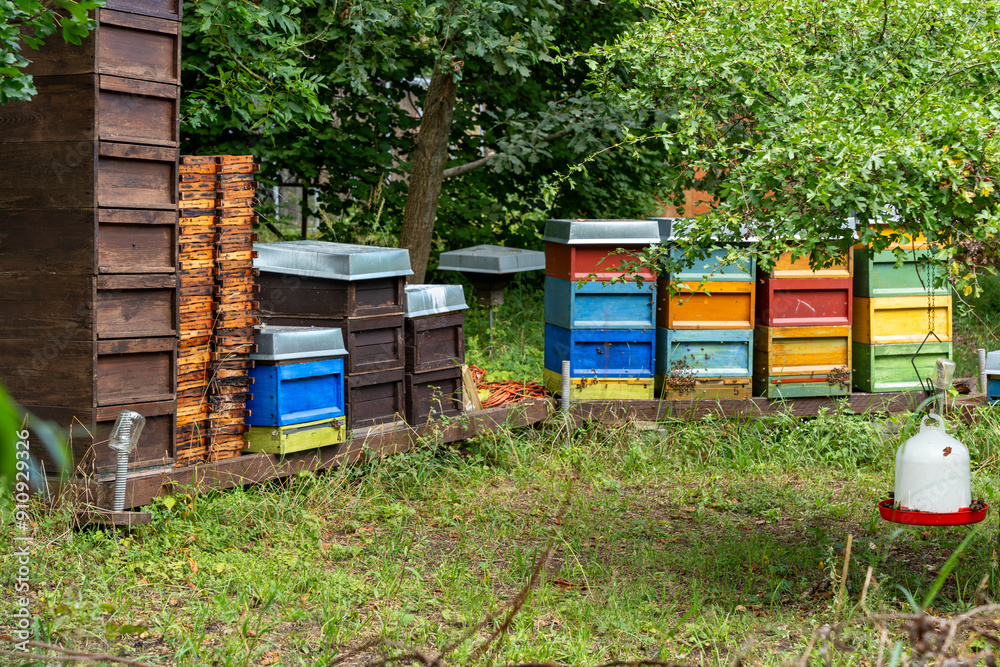 Colorful beehives located among the trees. Bee hives in green thickets. Colorful beehives located among the trees. Bee hives in green thickets.